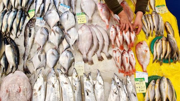 Việt Nam nhập khẩu gần 1,5 tỷ USD thủy sản các loại trong 9 tháng năm 2021