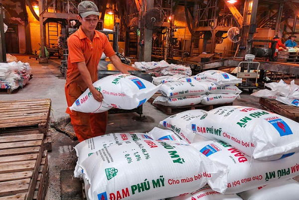 Giá phân bón tăng cao gây áp lực lên giá sản xuất lúa, khó khăn cho doanh nghiệp và nông dân