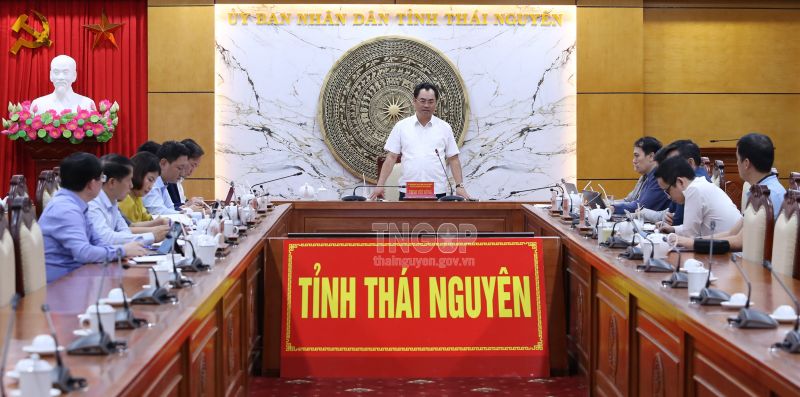 Ông Trịnh Việt Hùng, Ủy viên dự khuyết BCH Trung ương Đảng, Phó Bí thư Tỉnh ủy, Chủ tịch UBND tỉnh phát biểu và chủ trì tại cuộc họp