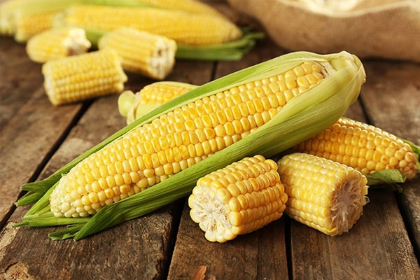 Achentina là thị trường chủ đạo cung cấp ngô cho Việt Nam