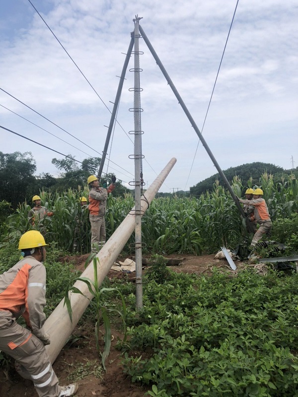 Công ty Điện lực Quảng Ninh đang tập trung nguồn lực đẩy nhanh tiến độ dự án Nâng cao độ tin cậy cung cấp điện lưới điện trung áp khu vực miền Đông tỉnh Quảng Ninh