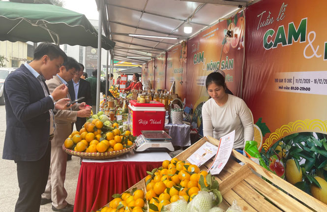 Hiện thị trường tiêu thụ quả và sản phẩm cây có múi của Hưng Yên ở trong nước là chính