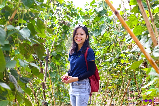 Chị Trần Mạc Vân Anh - Đồng sáng lập MEDIFOOD.IO trong một chuyến khảo sát hỗ trợ nhà vườn tại các tỉnh, thành