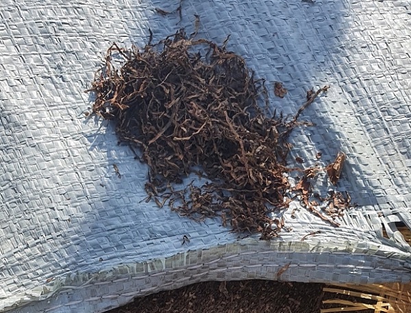 An Giang: Bắt vụ nhập lậu gần 430 kg sợi thuốc lá