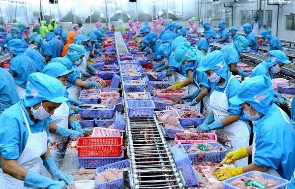 Khuyến cáo doanh nghiệp khi xuất khẩu sang Trung Đông - châu Phi