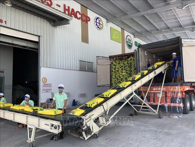 Trung An trúng thầu xuất khẩu gạo sang Hàn Quốc với giá tốt