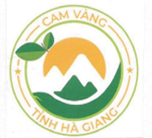 Cam vàng tỉnh Hà Giang được cấp Giấy chứng nhận đăng ký nhãn hiệu