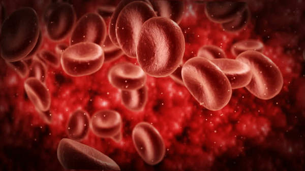 Rối loạn lipid máu là tình trạng chỉ số lipid cao bất thường