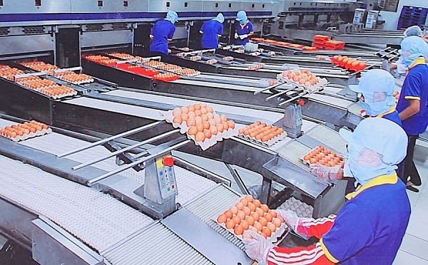 Các doanh nghiệp tại Thành phố Hồ Chí Minh vừa phòng chống dịch vừa duy trì sản xuất (Ảnh: Báo Công Thương)