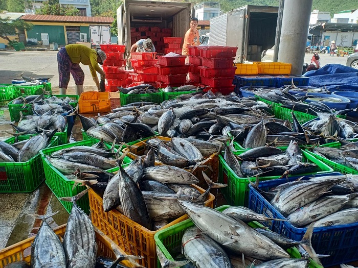 Viêt Nam xuất khẩu gần 30 nghìn tấn cá ngừ sang Mỹ trong 9 tháng
