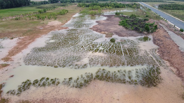 Khách hàng cần cẩn trọng khi được mời mua đất nền của dự án Dragon Pearl Long An