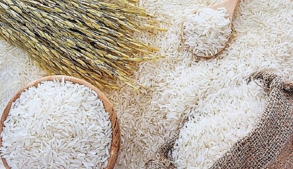 Giá lúa gạo quay đầu giảm nhẹ (Nguồn ảnh internet)