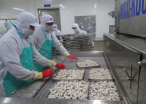 Cà Mau triển khai đồng bộ các biện pháp đảm bảo an sinh xã hội cho người lao động