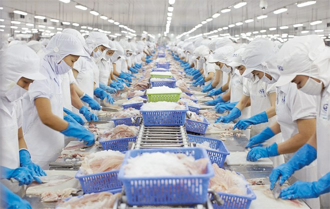 Có trên 100 DN Việt Nam đang tham gia xuất khẩu các mặt hàng thuỷ hải sản sang Phillipines