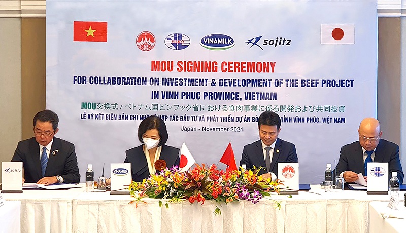 (Từ trái sang) Đại diện Tập đoàn Sojitz, Vinamilk, tỉnh Vĩnh Phúc và Vilico ký kết biên bản ghi nhớ về hợp tác đầu tư, phát triển dự án chăn nuôi và kinh doanh bò thịt