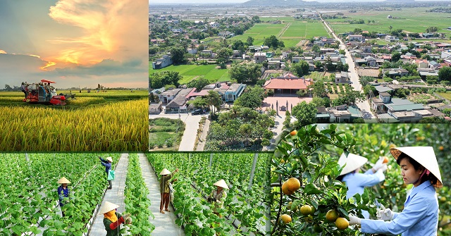 Tỉnh Thanh Hóa chủ động cải thiện môi trường đầu tư, khuyến khích các dự án vào nông nghiệp