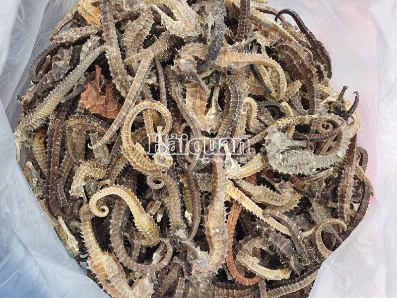 Chi cục Hải quan cửa khẩu Khánh Bình vừa thu giữ 1,5 tạ cá ngựa và bóng cá khô nhập lậu