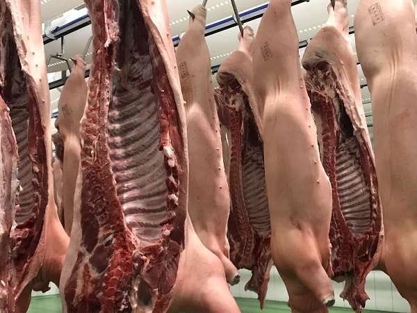 Giá heo hơi ngày 01/12: Tiếp tục tăng 1.000 - 3.000 đồng/kg