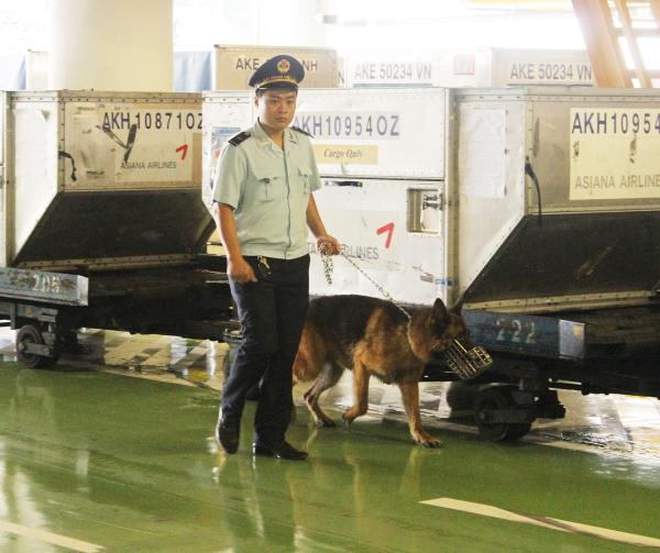 Chi cục Hải quan cửa khẩu sân bay quốc tế Nội Bài (Cục Hải quan Tp. Hà Nội) sử dụng chó nghiệp vụ kiểm tra, giám sát hàng hóa