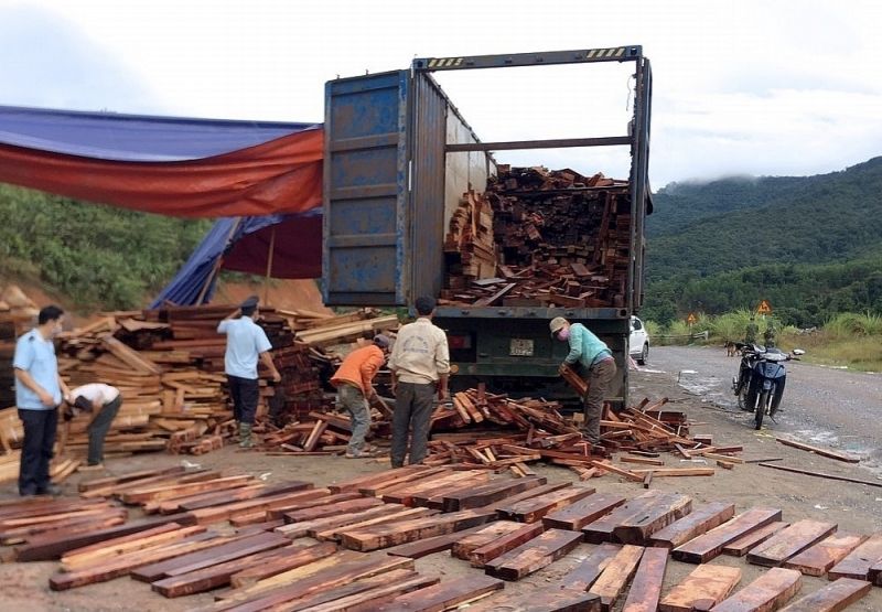 Hải quan cửa khẩu quốc tế La Lay khởi tố vụ buôn lậu lô gỗ quý trị giá hàng tỷ đồng