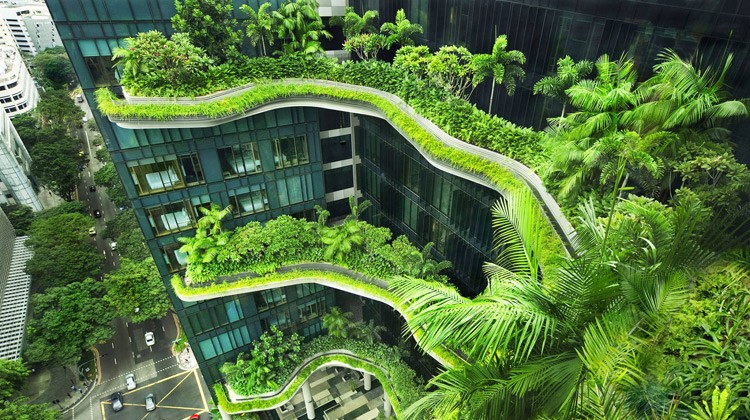 Phát triển BĐS xanh: Nhà đầu tư nên cân nhắc lợi ích về môi trường thay vì chỉ nhìn vào lợi nhuận