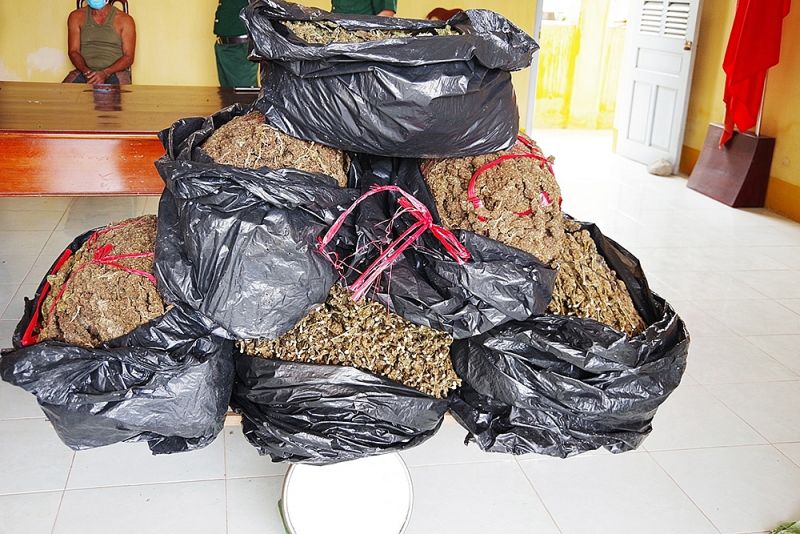 Biên phòng An Giang phát hiện 02 vụ vận chuyển 40 kg thảo mộc khô nghi cần sa