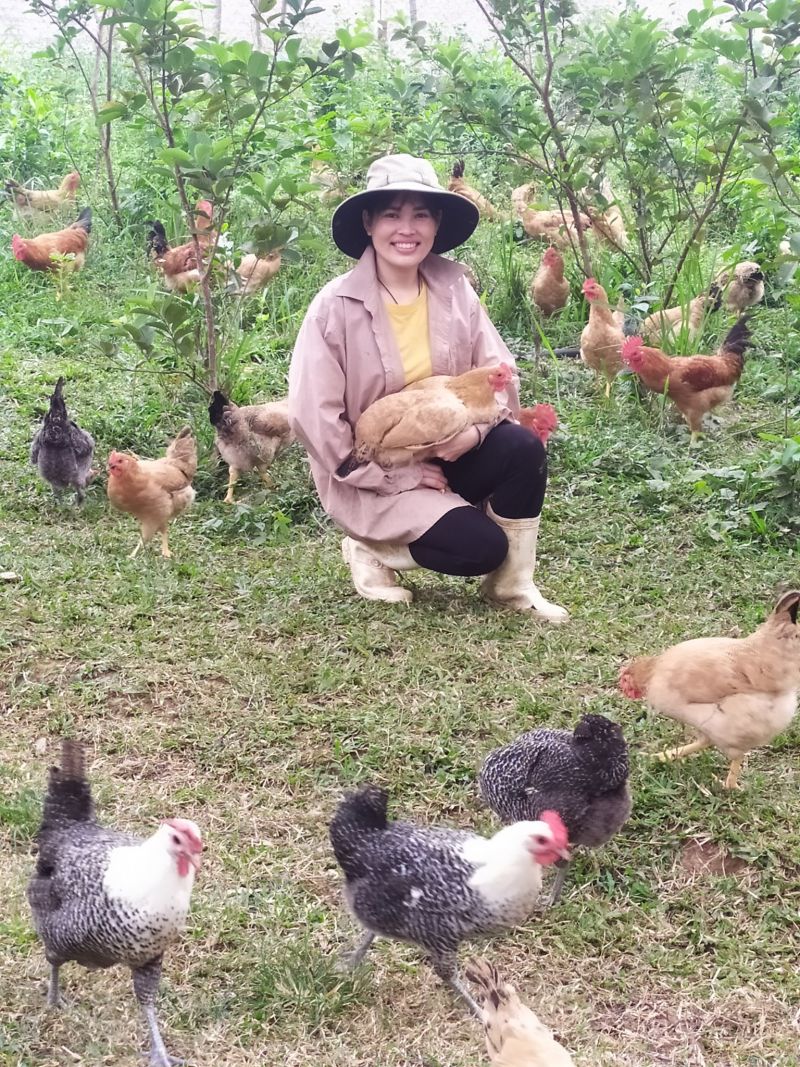 Thanh Hóa ban hành Kế hoạch phát triển chăn nuôi trên địa bàn tỉnh năm 2022