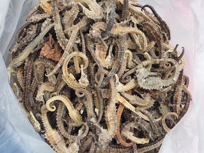 Chỉ trong một ngày, ngành Hải quan khởi tố 2 vụ buôn lậu lớn