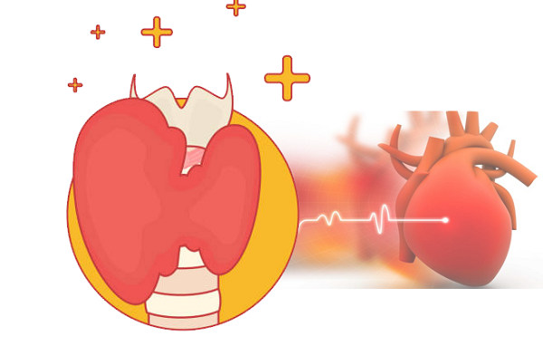 Người bị suy giáp có nguy cơ mắc các bệnh tim mạch