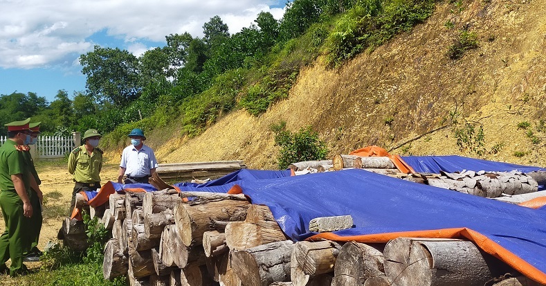 Thanh Hóa thực hiện tốt công tác phòng, chống buôn lậu lâm sản, động vật hoang dã trái phép