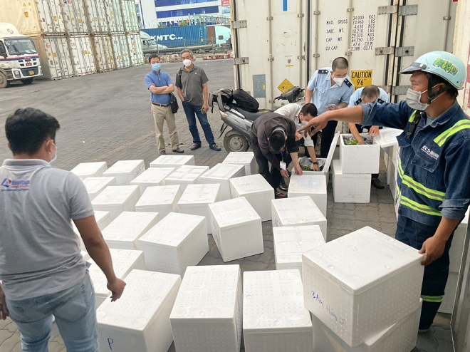 Lực lượng Hải quan ngăn chặn trên 15.000 bao thuốc lá xuất lậu ra nước ngoài