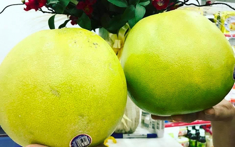 Trái bưởi Việt Nam chuẩn bị xuất khẩu sang Mỹ