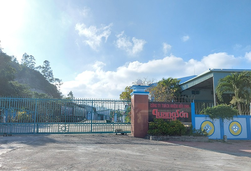 Doanh nghiệp chế biến hạt điều ở Phú yên bị phạt gần 1 tỷ đồng do vi phạm môi trường