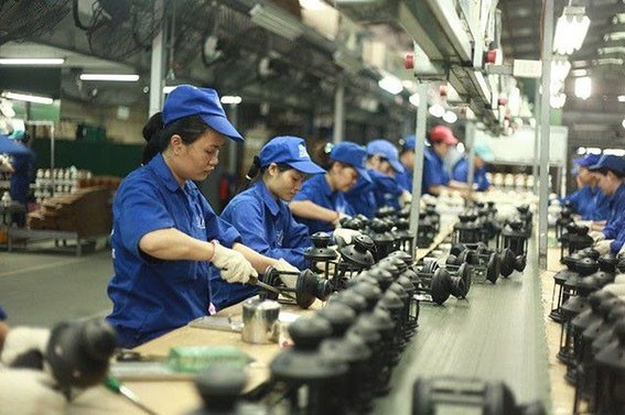 RCEP sẽ giúp mở cửa để Việt Nam nhập khẩu hàng hóa rẻ hơn, đặc biệt là các nguyên vật liệu đầu vào phục vụ sản xuất