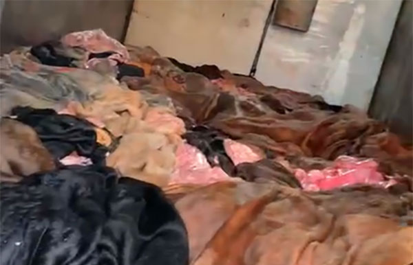 Đồng Nai: Phát hiện gần 1 tấn da, mỡ bò bốc mùi chuẩn bị đưa đi tiêu thụ