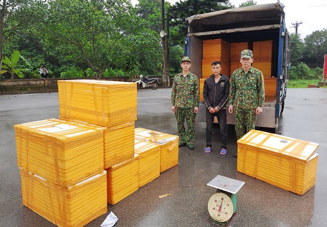 Một vụ vận chuyển 500kg cá tầm nhập lậu bị lực lượng chức năng tỉnh Quảng Ninh bắt giữ hồi tháng 4/2021