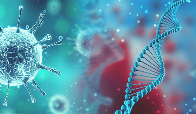 Phát hiện biến thể mới của SARS-CoV-2 có tới 46 đột biến