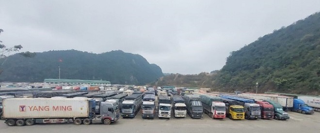 Lạng Sơn thông báo tạm dừng tiếp nhận xe chở hoa quả từ ngày 17/01