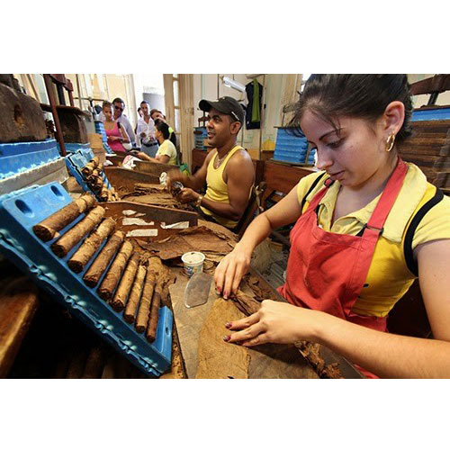 Cuba hủy lễ hội xì gà quốc tế và sắp nhận khoản tài trợ đầu tiên để sản xuất vaccine