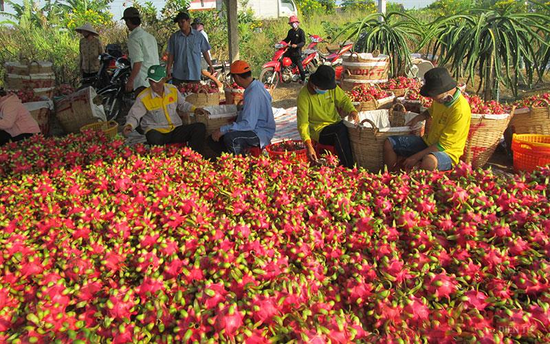 Tăng cường các biện pháp chống dịch Covid-19 nhằm bảo đảm an toàn trong sản xuất và vận chuyển hàng hoá