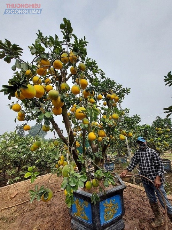 So với mọi năm