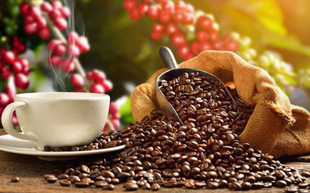 Giá cà phê trong nước và thế giới tiếp tục giảm