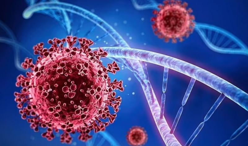 Nhà khoa học Ba Lan phát hiện ra gen khiến người dễ mắc Covid-19 thể nặng