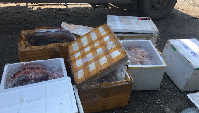 Phát hiện hơn 200 kg nội tạng động vật không rõ nguồn gốc xuất xứ tại Phú Thọ