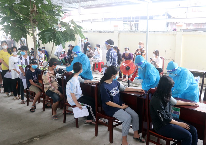 Tỉnh Hậu Giang có nhiều vùng xanh trở lại