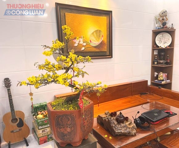 Sau khi người ti&ecirc;u d&ugrave;ng mua về được thay chậu mới mới