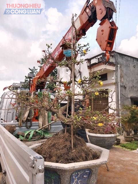 Thương l&aacute;i c&aacute;c tỉnh thu mua đi c&aacute;c v&ugrave;ng, miền