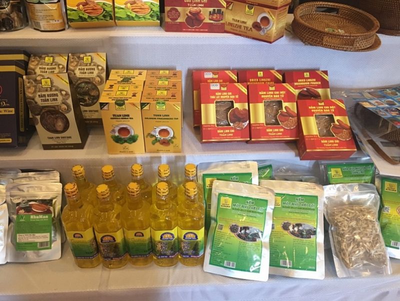 Quảng Bình đề xuất công nhận thêm nhiều sản phẩm OCOP cấp tỉnh năm 2021