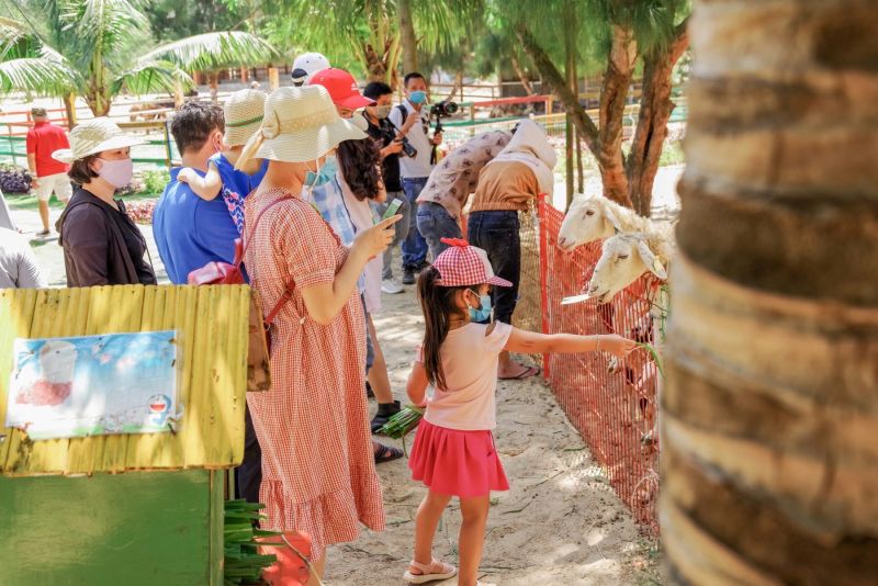 Du khách tham gia nhiều hoạt động trải nghiệm tại FLC Quy Nhơn.