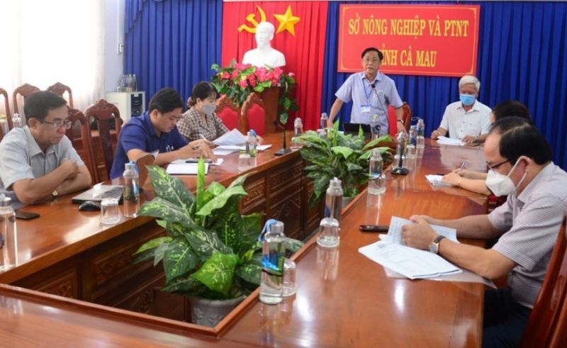 Cà Mau triển khai kế hoạch chuyển đổi cơ cấu cây trồng trong sản xuất nông nghiệp